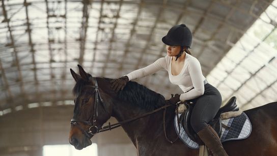 Bridgehampton, in the Hamptons, Stands Out as New York’s Premier Equestrian Enclave